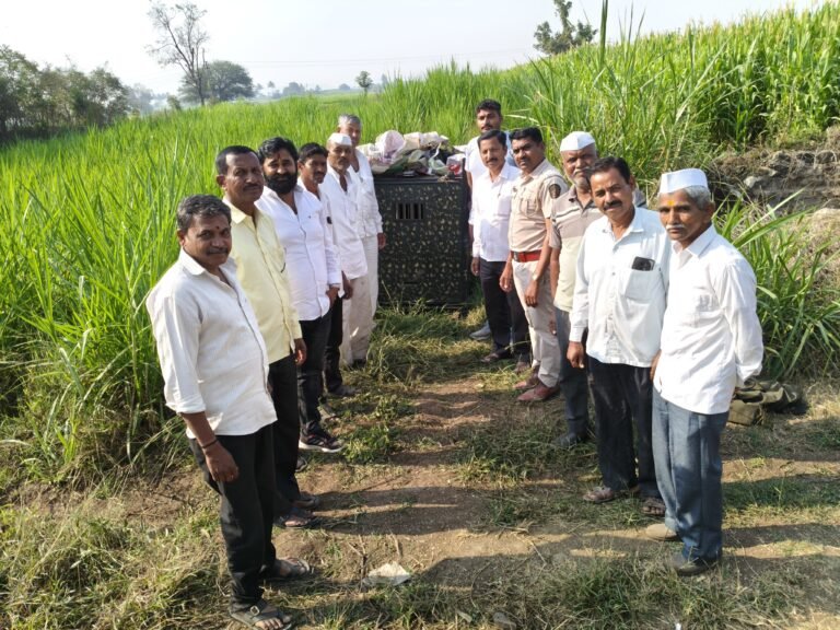 नागापूर येथे बिबटचा बछडा जेरबंद