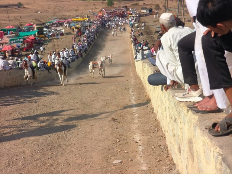 वडगावपीर येथील बैलगाडा शर्यतीत 174 बैलगाडा मालकांचा सहभाग सविंदणेचे माजी सरपंच वसंत पडवळ यांचा गाडा घाटाचा राजाचा मानकरी