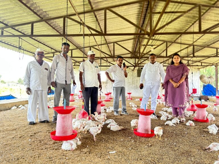 लाखनगावातील पोल्ट्रीमध्ये ३७०० कोंबड्यांचा मृत्यू